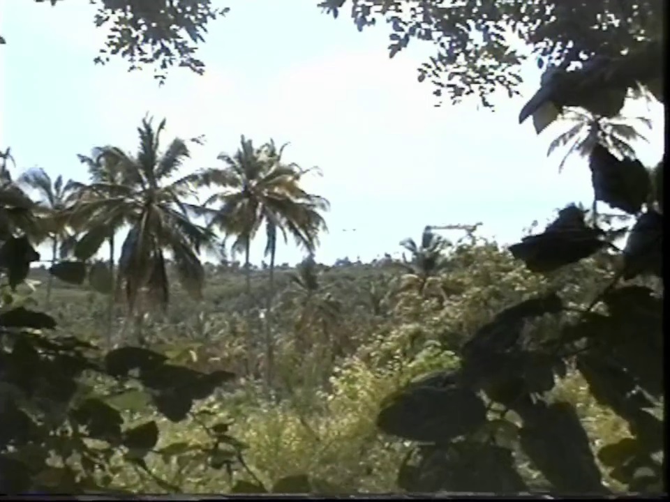 Scenes from The Hill, San Andrés