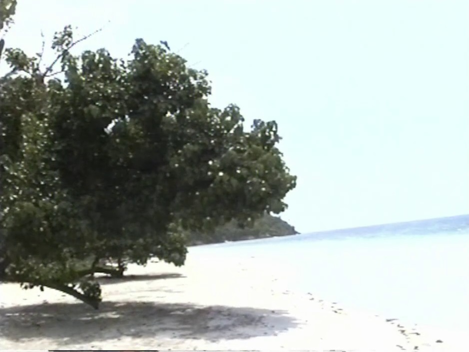 Manchineel Bay, Providencia