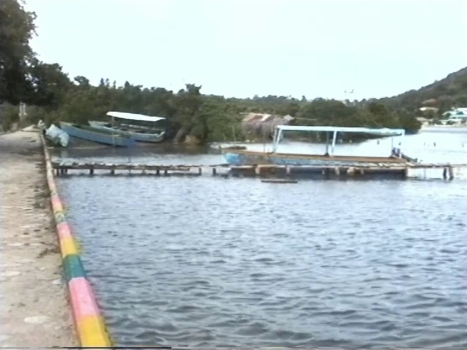 Scenes from Santa Catalina